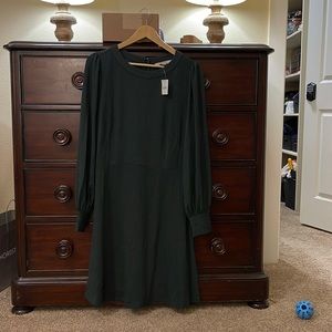 Ann Taylor Loft Hunter Green Long Sleeve w/ Button Details Dress. Size 10 NWT